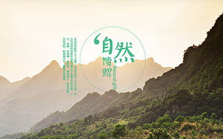 企業(yè)官網(wǎng) 南隼互動(dòng)丨clh 深圳網(wǎng)站設(shè)計(jì)及建設(shè)公司 為企業(yè)提供數(shù)字化品牌和產(chǎn)品營銷解決方案
